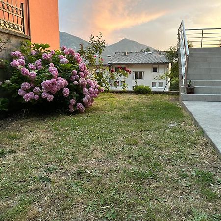 Sunny Apartment Kotor Bagian luar foto