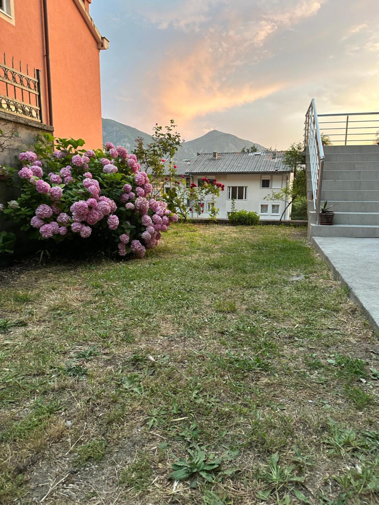 Sunny Apartment Kotor Bagian luar foto